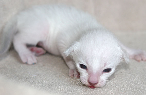 Photo: Carolin Skirl