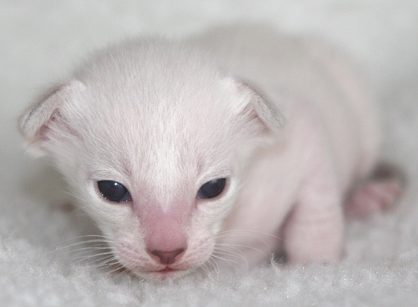 Photo: Carolin Skirl