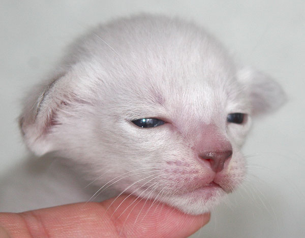 Photo: Carolin Skirl