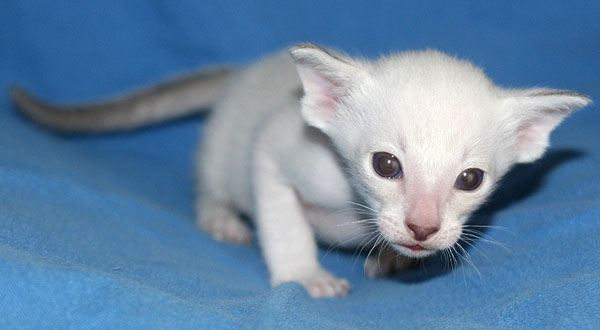 Photo: Carolin Skirl