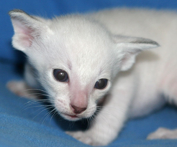 Photo: Carolin Skirl