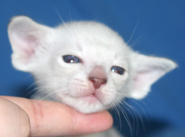 Photo: Carolin Skirl