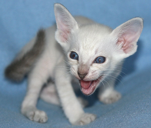 Photo: Carolin Skirl