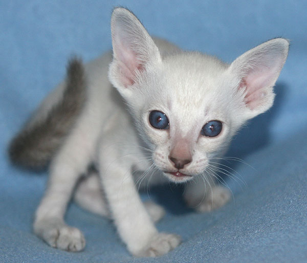 Photo: Carolin Skirl