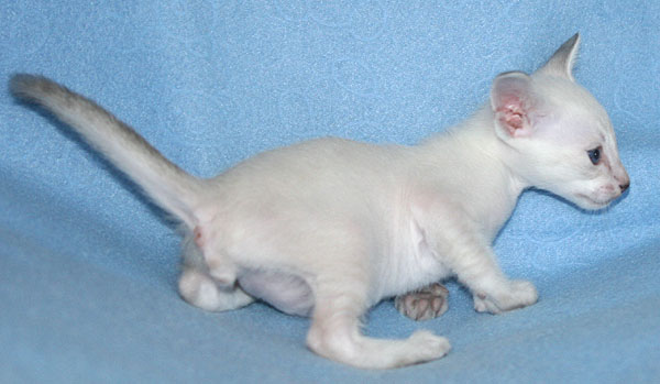 Photo: Carolin Skirl