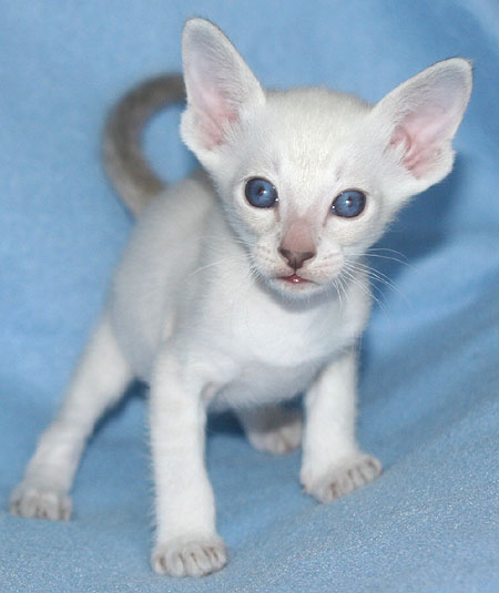 Photo: Carolin Skirl