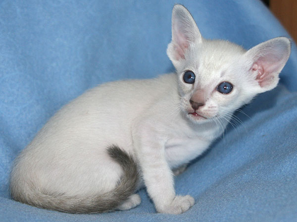 Photo: Carolin Skirl