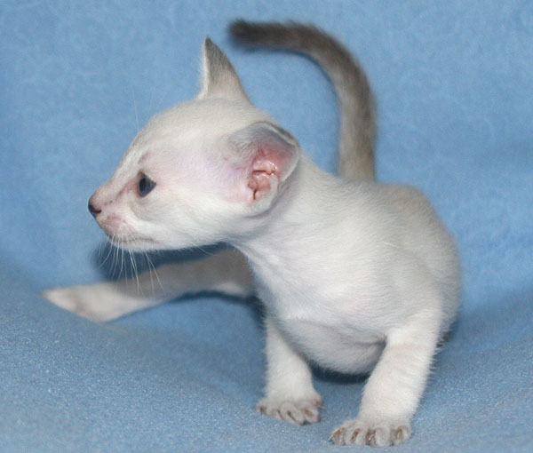 Photo: Carolin Skirl