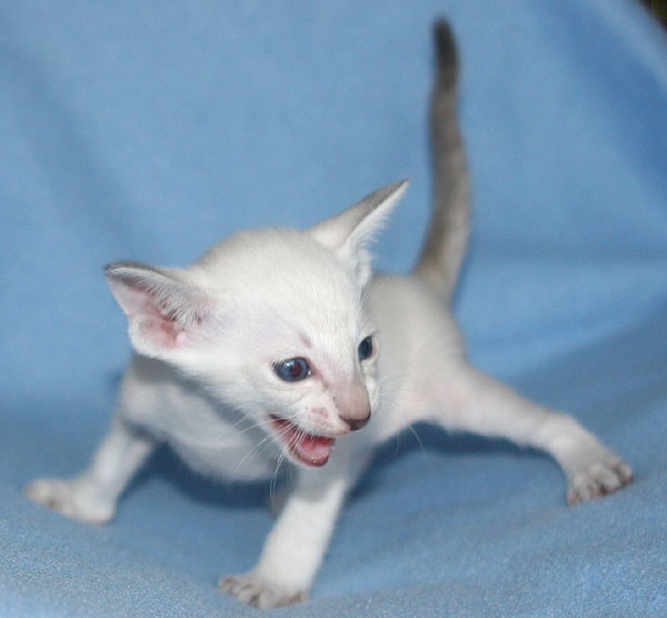 Photo: Carolin Skirl