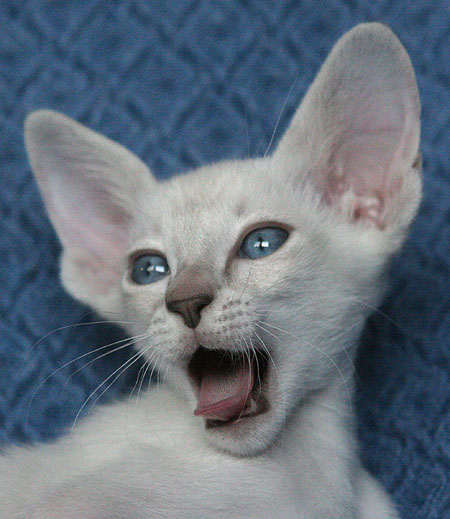 Photo: Carolin Skirl