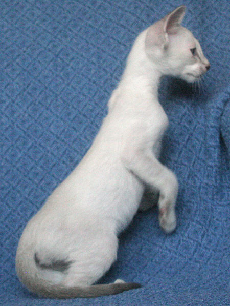 Photo: Carolin Skirl