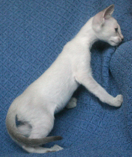 Photo: Carolin Skirl