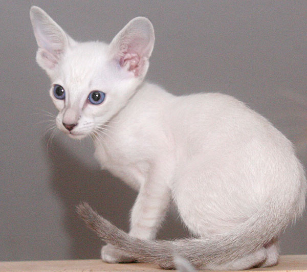 Photo: Carolin Skirl