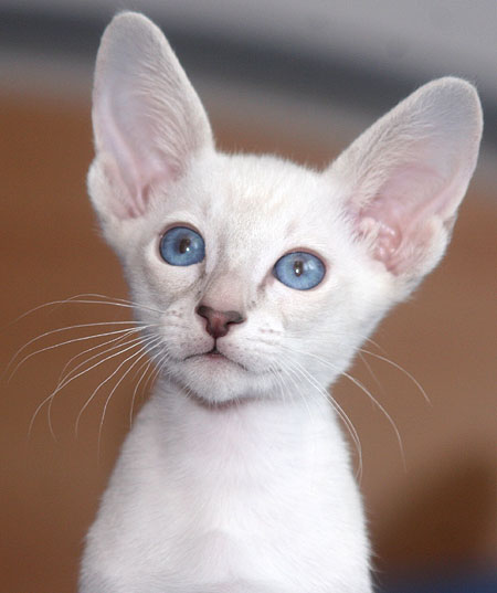 Photo: Carolin Skirl