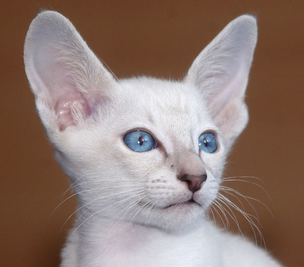 Photo: Carolin Skirl