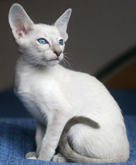 Photo: Carolin Skirl