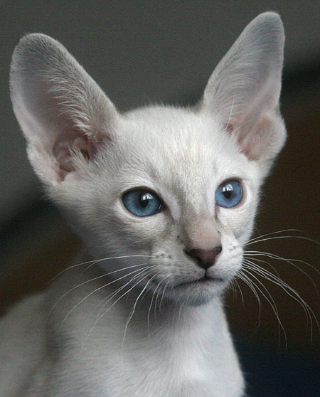 Photo: Carolin Skirl