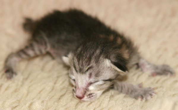 Photo: Carolin Skirl