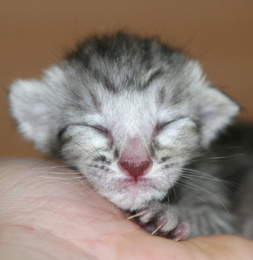 Photo: Carolin Skirl