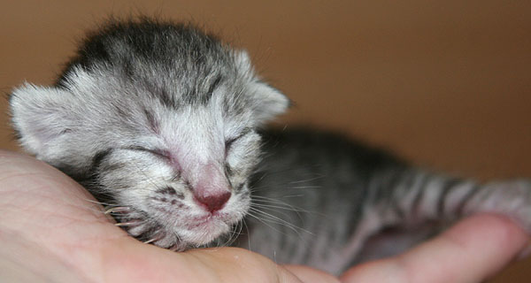 Photo: Carolin Skirl