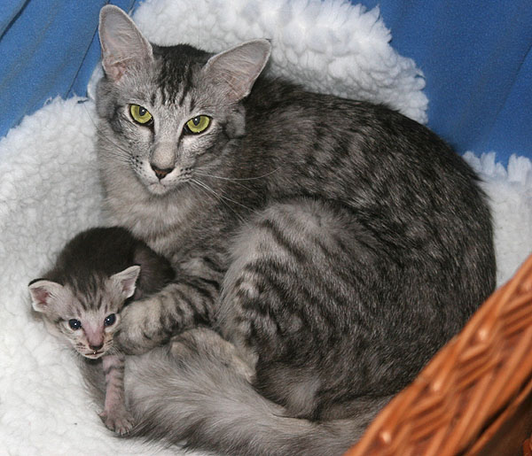 Photo: Carolin Skirl