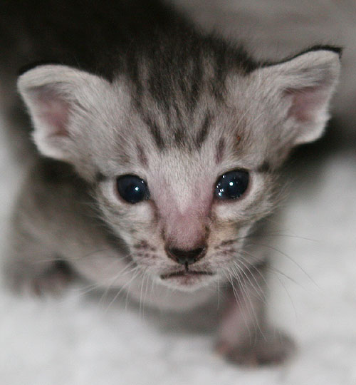 Photo: Carolin Skirl