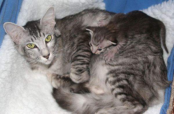 Photo: Carolin Skirl