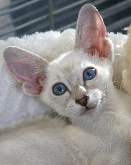 Photo: Carolin Skirl