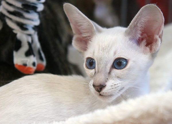 Photo: Carolin Skirl