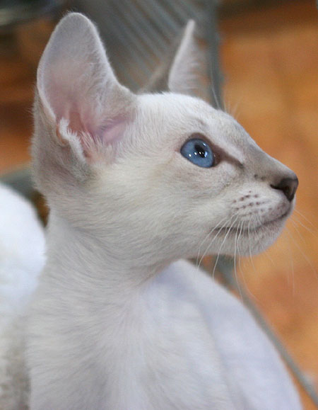 Photo: Carolin Skirl