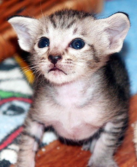 Photo: Carolin Skirl