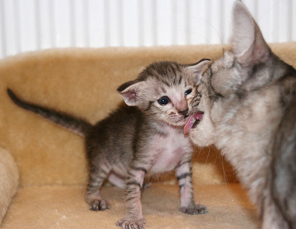 Photo: Carolin Skirl