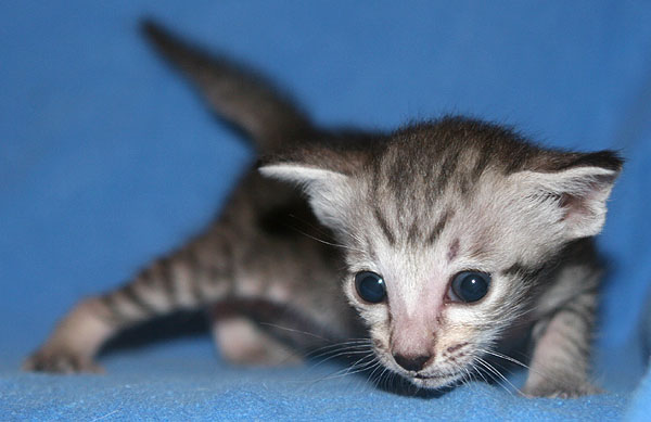 Photo: Carolin Skirl