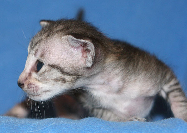 Photo: Carolin Skirl