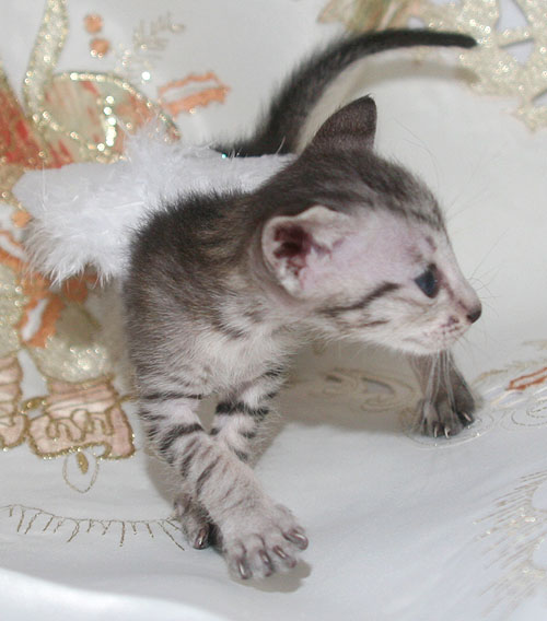 Photo: Carolin Skirl