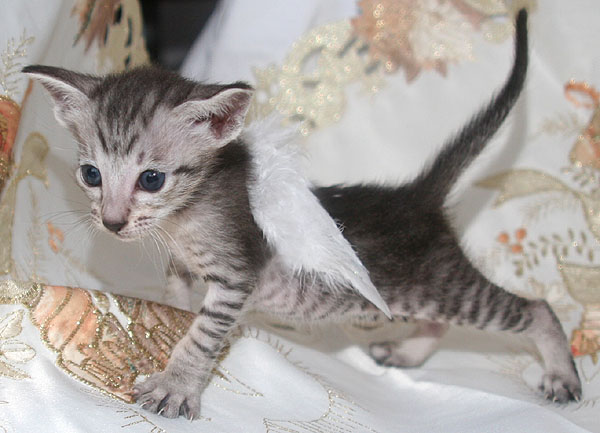 Photo: Carolin Skirl