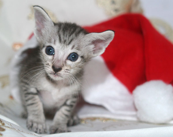 Photo: Carolin Skirl