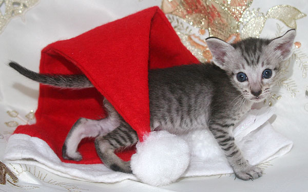 Photo: Carolin Skirl