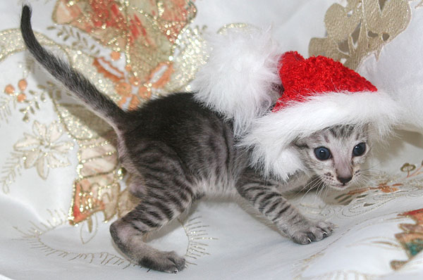 Photo: Carolin Skirl