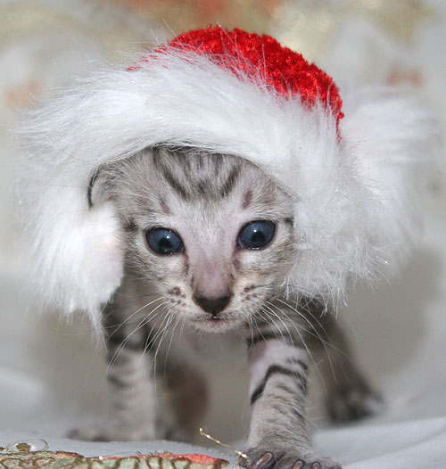 Photo: Carolin Skirl