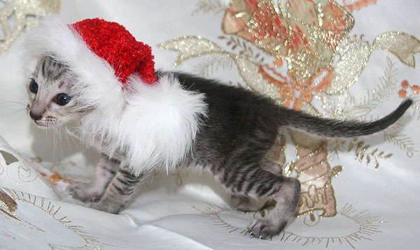 Photo: Carolin Skirl