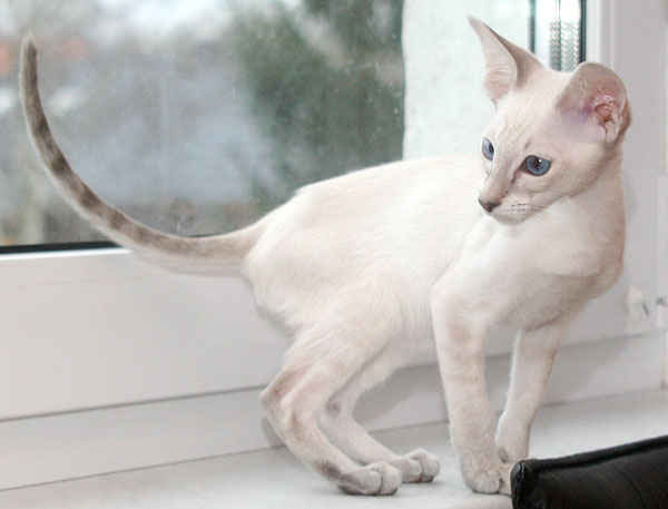 Photo: Carolin Skirl