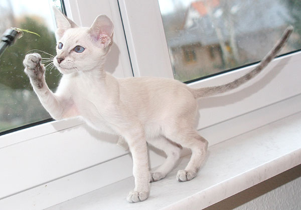 Photo: Carolin Skirl