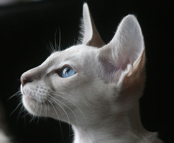 Photo: Carolin Skirl