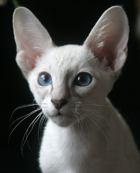 Photo: Carolin Skirl