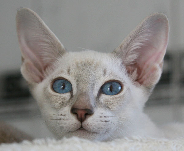 Photo: Carolin Skirl