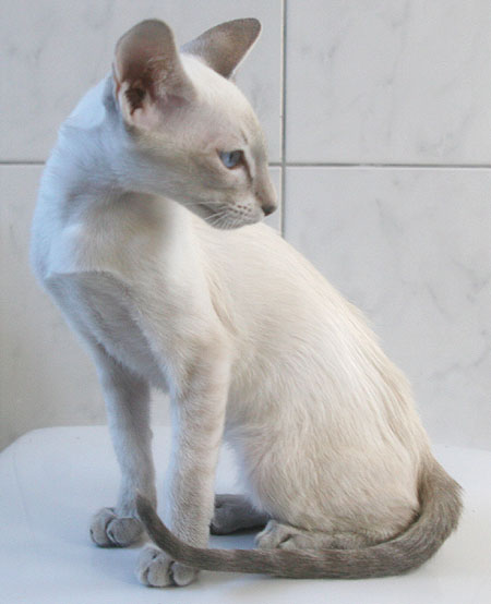 Photo: Carolin Skirl