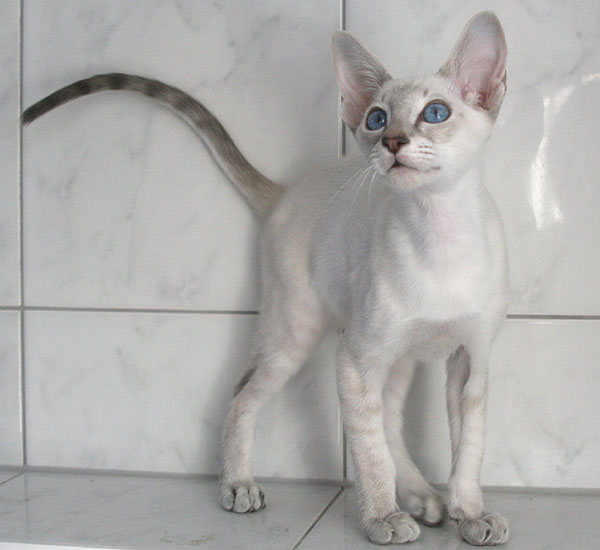 Photo: Carolin Skirl