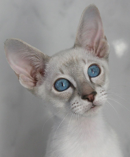 Photo: Carolin Skirl