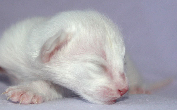 Photo: Carolin Skirl